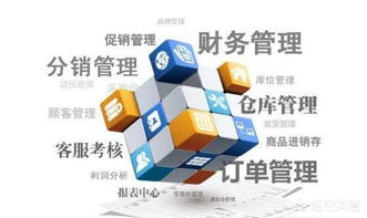 零編程經(jīng)驗(yàn)，也能打造企業(yè)級(jí)管理軟件？——新時(shí)代下的企業(yè)軟件開發(fā)新路徑
